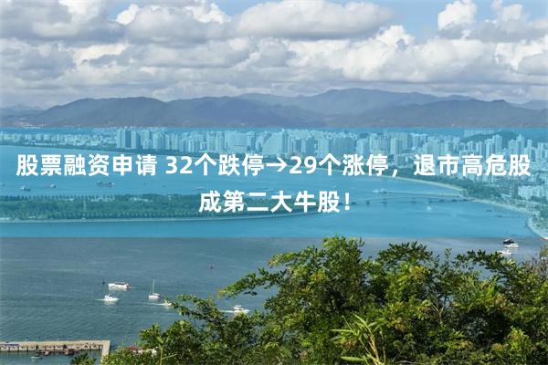 股票融资申请 32个跌停→29个涨停，退市高危股成第二大牛股！