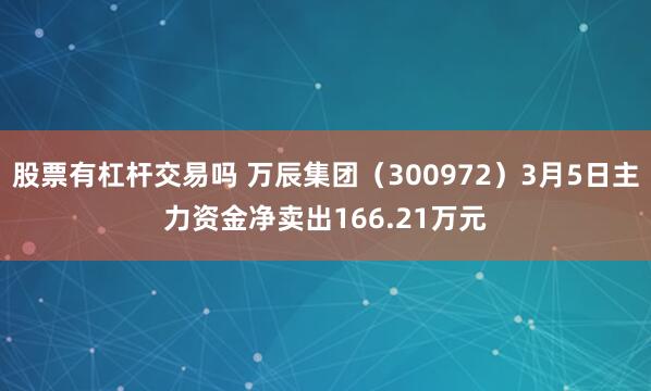 股票有杠杆交易吗 万辰集团（300972）3月5日主力资金净卖出166.21万元