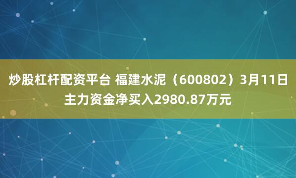 炒股杠杆配资平台 福建水泥（600802）3月11日主力资金净买入2980.87万元