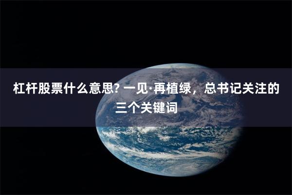 杠杆股票什么意思? 一见·再植绿，总书记关注的三个关键词