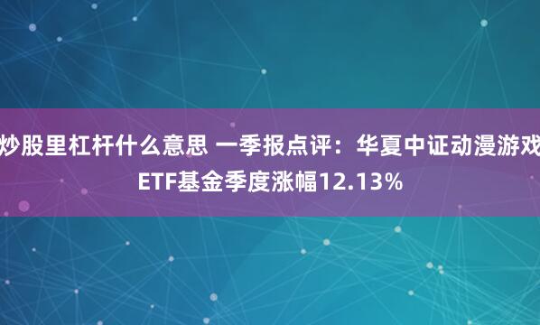 炒股里杠杆什么意思 一季报点评：华夏中证动漫游戏ETF基金季度涨幅12.13%