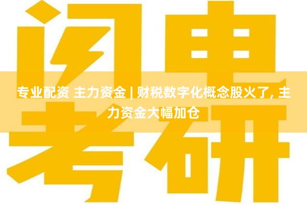 专业配资 主力资金 | 财税数字化概念股火了, 主力资金大幅加仓