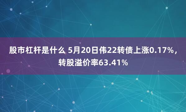 股市杠杆是什么 5月20日伟22转债上涨0.17%，转股溢价率63.41%