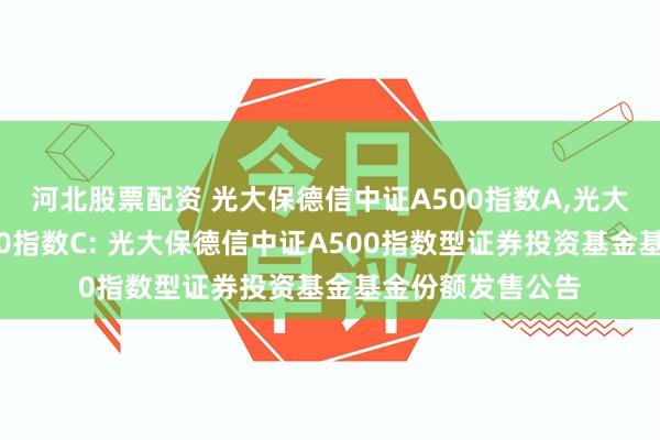 河北股票配资 光大保德信中证A500指数A,光大保德信中证A500指数C: 光大保德信中证A500指数型证券投资基金基金份额发售公告