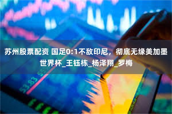 苏州股票配资 国足0:1不敌印尼，彻底无缘美加墨世界杯_王钰栋_杨泽翔_罗梅