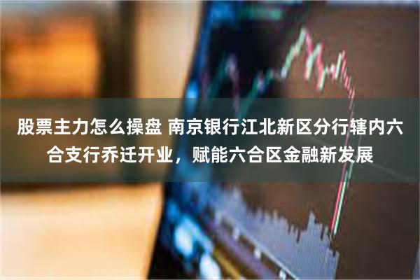 股票主力怎么操盘 南京银行江北新区分行辖内六合支行乔迁开业，赋能六合区金融新发展