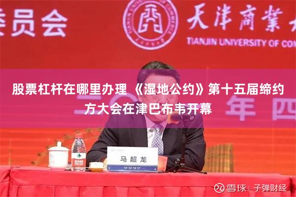 股票杠杆在哪里办理 《湿地公约》第十五届缔约方大会在津巴布韦开幕