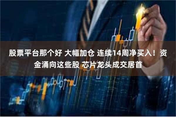 股票平台那个好 大幅加仓 连续14周净买入！资金涌向这些股 芯片龙头成交居首