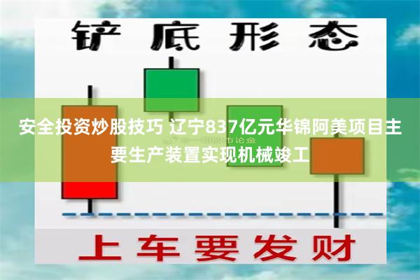 安全投资炒股技巧 辽宁837亿元华锦阿美项目主要生产装置实现机械竣工
